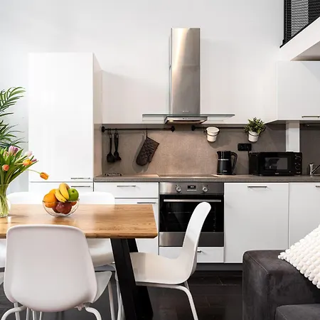 アパート Spacious Loft-aparts On Karlin プラハ