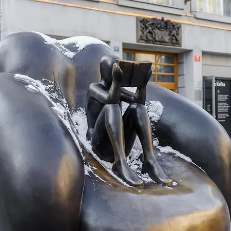 Spacious Loft-aparts On Karlin Praga