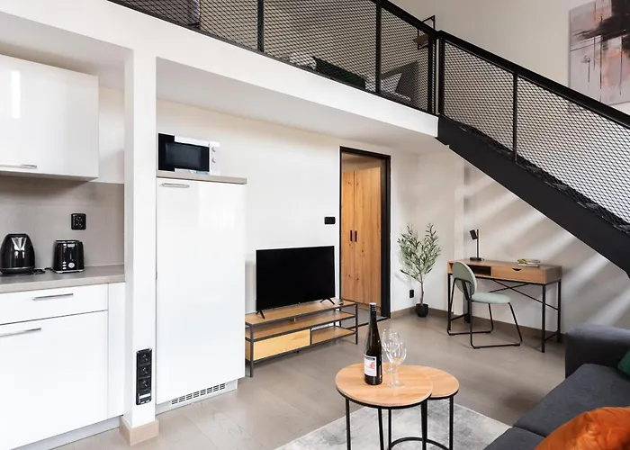Lägenhet Spacious Loft-aparts On Karlin