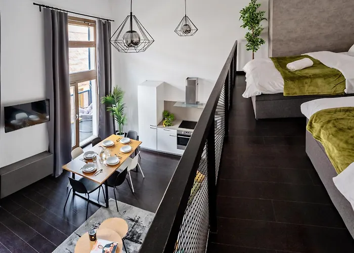 Spacious Loft-aparts On Karlin Prag